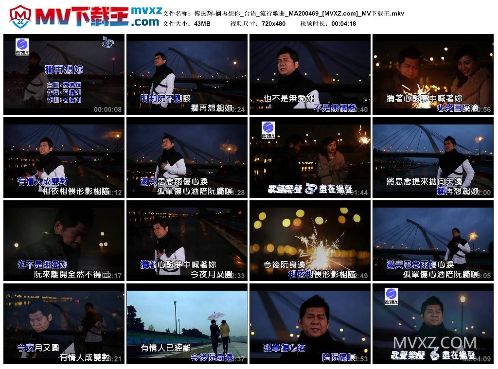 傅振辉-搁再想你_台语_流行歌曲_MA200469